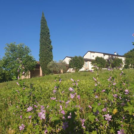 Villa Agriturismo Relais Maddalene101 Vicenza Exterior foto